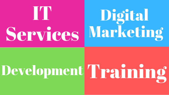 IT Services Vantisco Services